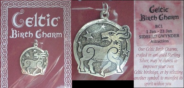 Sterling Silver Celtic January Birth Charm Pendant - Silver Insanity