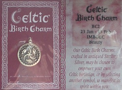 Sterling Silver Late January Celtic Birth Charm Pendant - Silver Insanity